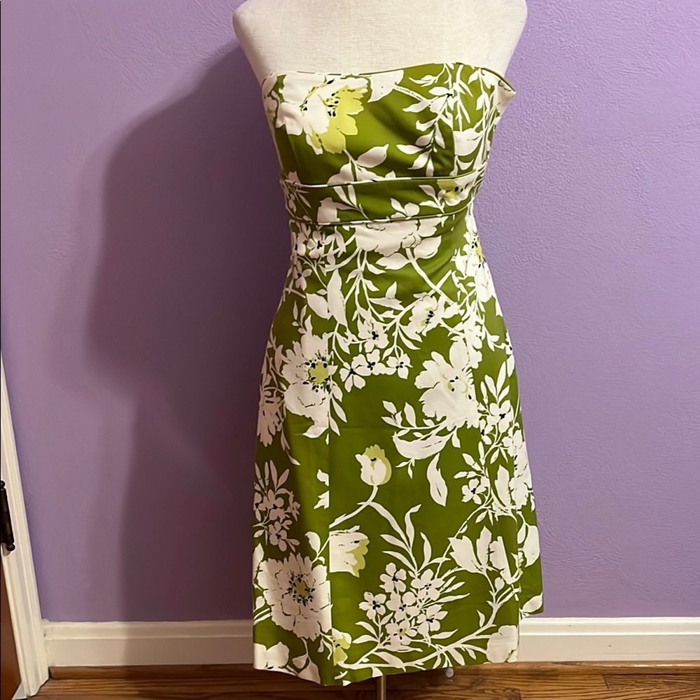 Ann Taylor Dress